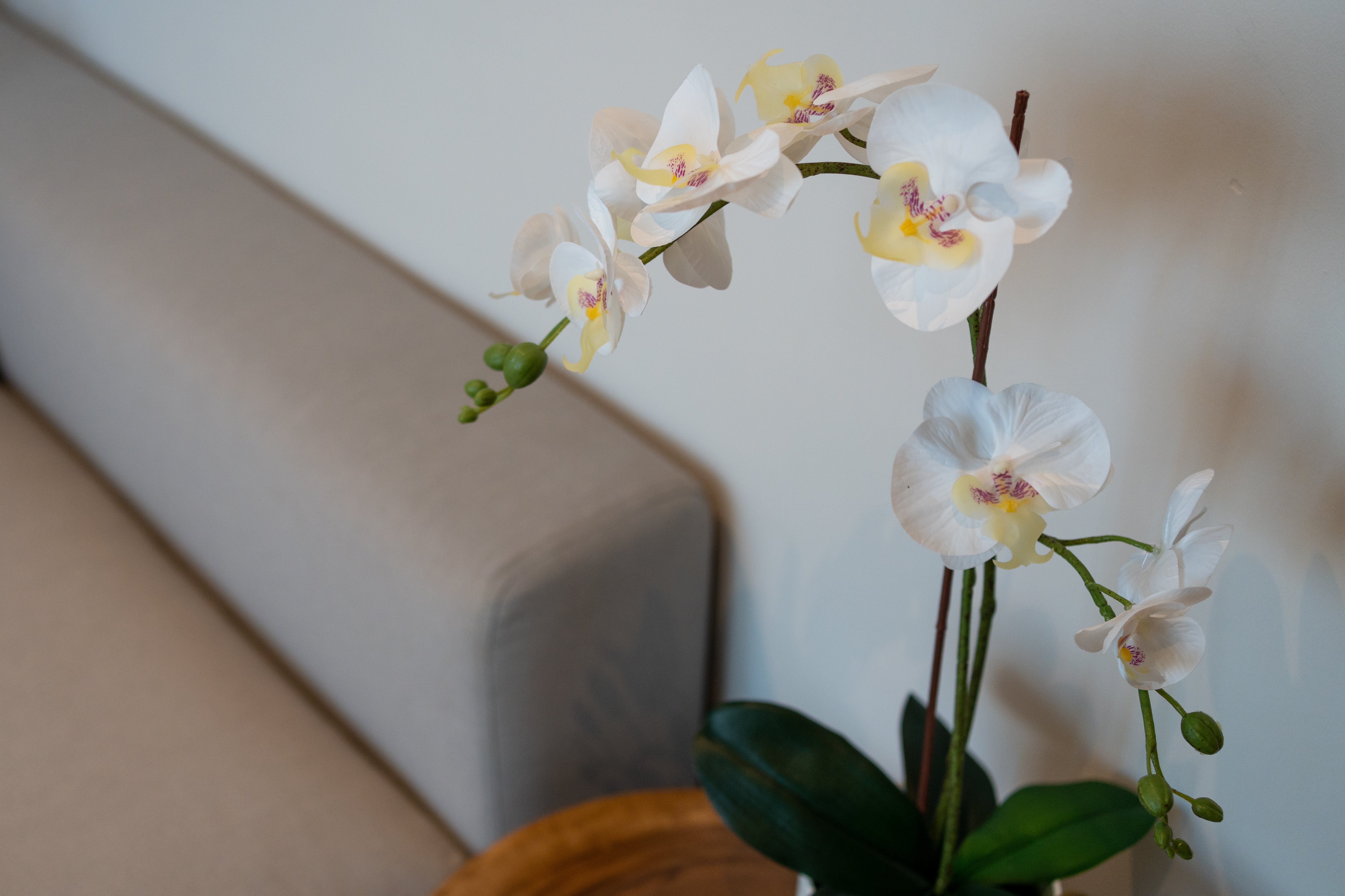 Bougainvillea Villa 63